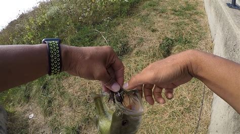 Maybe you would like to learn more about one of these? Bass Fishing in Bloomingdale Illinois - YouTube