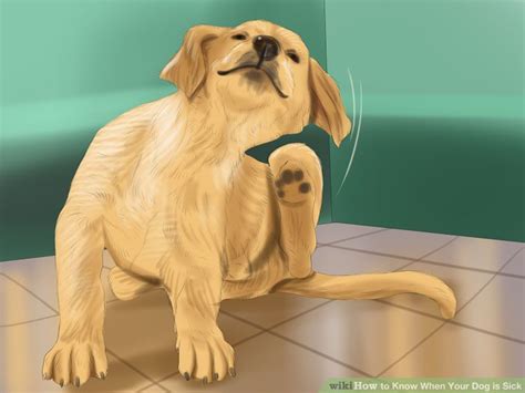 Oct 27, 2020 · how to prevent dehydration when you're sick. Know When Your Dog is Sick | Your dog, Dogs, Your pet