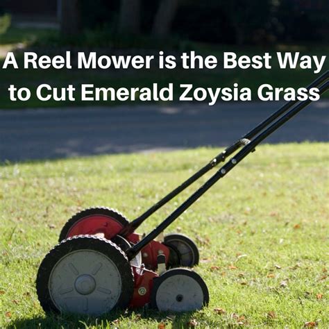 All you have to do is to now that you know the basics of zoysia grass and how to care for and maintain it, let's take a look at. How to Cut Emerald Zoysia Grass - Houston Pearland Sugar Land Katy TX
