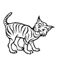 Our free coloring pages for adults and kids, range from star wars to mickey mouse. Cat and Kitten » Page 3 of 4 » Coloring Pages » Surfnetkids