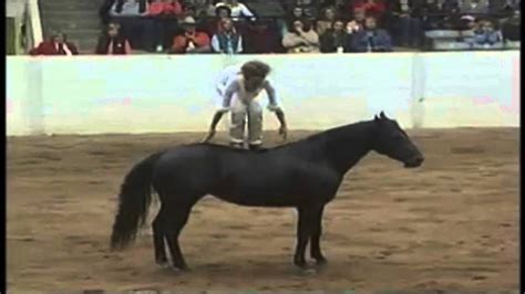 Spread this video to stop horseback riding tourism in taal at the expense of the welfare of innocent wild horses. BAREBACK and BRIDLELESS horse riding COMPILATION - YouTube