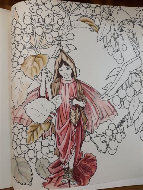 Cicely mary barker flower fairies are drawn straight from the flower fairy books of english aut. #Cicely Mary Barker colouring book# | Coloring books, Art ...