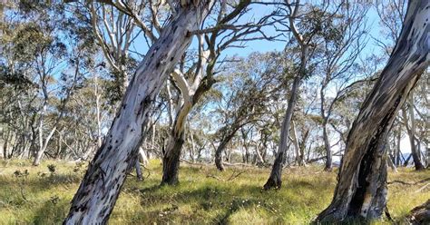 Olusiji sowande, the union noted that the lackadaisical attitude of. FoEA News April 2021 - Friends of the Earth Australia