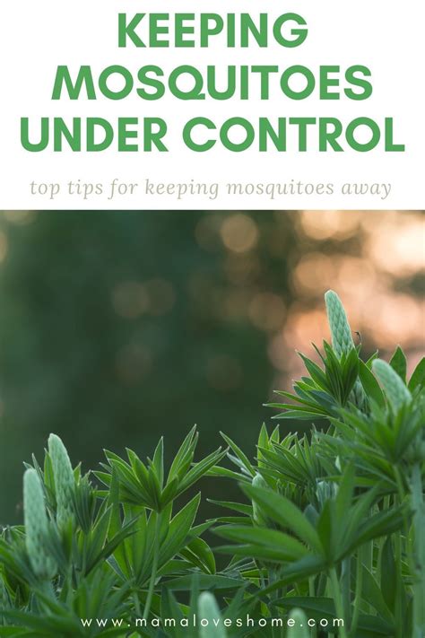 You can either prevent them from biting you in the first place or treat the mosquito you'll notice there are some crazy ways people go about getting rid of mosquito bites. Getting rid of mosquitoes in your yard for good ...