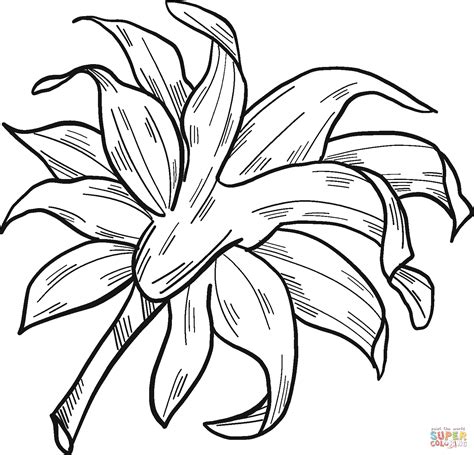 Free great sunflower coloring page to download or print, including many other related sunflower coloring page you may like. Sunflower Leaves coloring page | Free Printable Coloring Pages