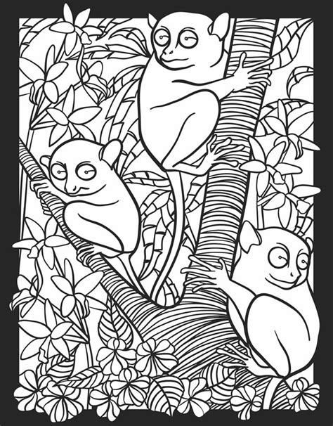 Nocturnal animals are more active at night than during the day. Childhood Education: Nocturnal Animals Coloring Pages Free ...