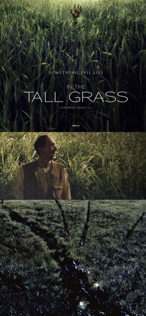 The direction was solid, wilson was terrific and the location was handled so well i like, throughout history, so many people have gone bonkers in the grass that they all became grass people and ultimately actual grass. You hear of this Stephen King movie called In the Tall Grass coming out? : JurassicPark