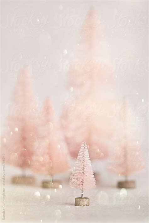 Find over 100+ of the best free pink aesthetic images. Vintage miniature Christmas tree with trees in background for the holidays | Pink christmas ...