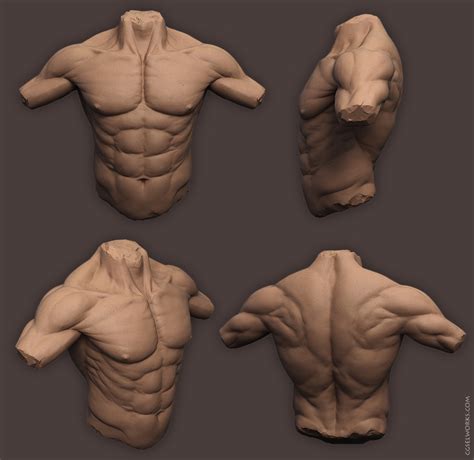 Then what i'll do is i'll just bring up some of the muscles again but only the real important. Carl "SelWorks" Sketchbook (tutorial Pg. 5)