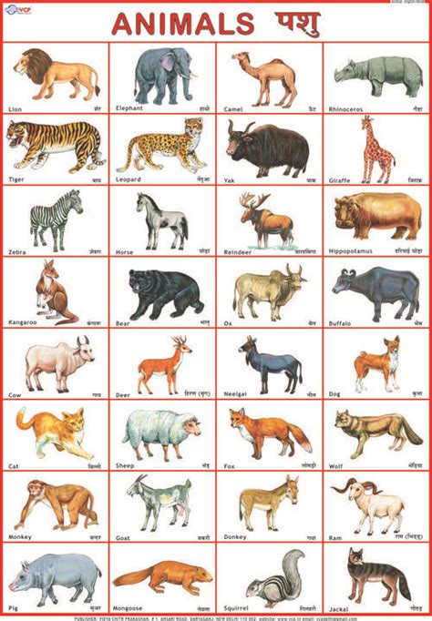 This post is written for kids who want to understand name of animals. Animals | Hindi language learning, Hindi poems for kids ...