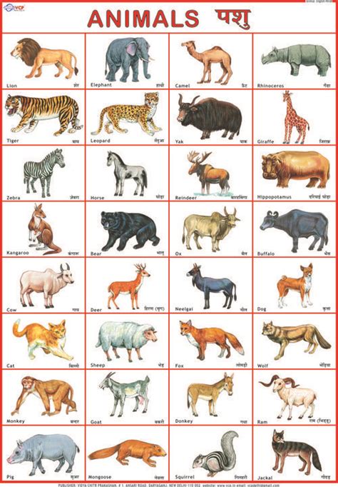 Full detail list of animals name in hindi and english. Animals | Hindi language learning, Preschool charts, Hindi ...