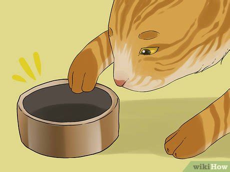Usually, the hair goes right through the cat's hairballs are a common cause of vomiting and also can contribute to constipation. 3 Ways to Treat Vomiting Accompanied by Diarrhea in a Cat