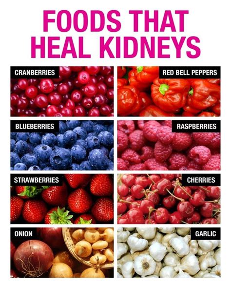 After having read about the herbs for kidneys have a look at the foods good for kidney health. Foods That Heal Kidneys - InspireMyWorkout.com - A ...