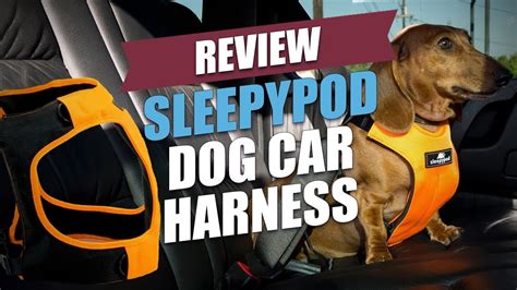 Shop for dog harness at bed bath & beyond. Sleepypod Dog Car Harness Review - YouTube