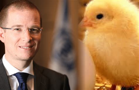 Ricardo anaya, el presidenciable más joven en la historia de méxico. 'El pollo' Anaya, sigue buscando pleito con 'el gallo ...