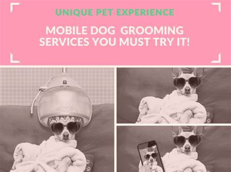 Pet groomers with professional experience will groom your pet from the comfort of your own home and time. Dog Grooming Doral | Mobile Pet Grooming Doral | Dog ...