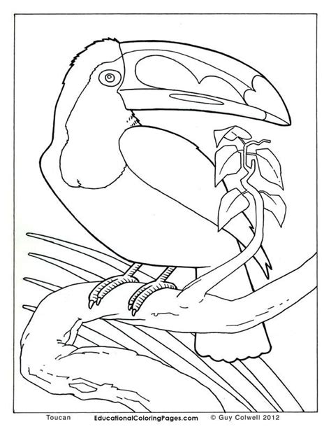 Our coloring categories include serious science: Realistic Coloring Pages Of Animals - Coloring Home