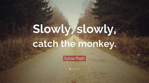 Sylvia Plath Quote: 