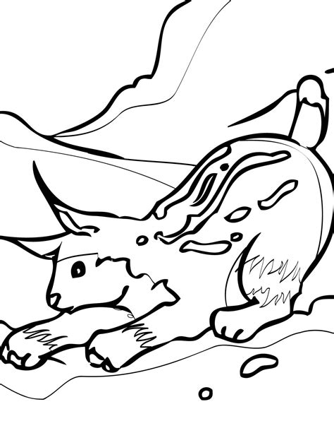 This bird has a circumpolar. Arctic Coloring Pages - Coloring Home