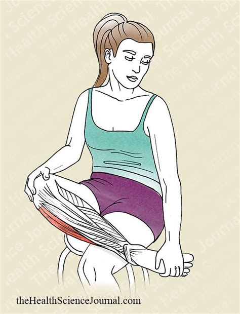 Starting Stretching - 53 Full Body Stretches for Beginners ...