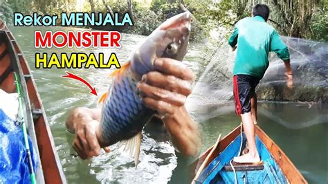 Check spelling or type a new query. MENJALA IKAN DI SUNGAI PEDALAMAN KALIMANTAN, PANEN IKAN TAWES DAN HAMPALA BABON. - YouTube