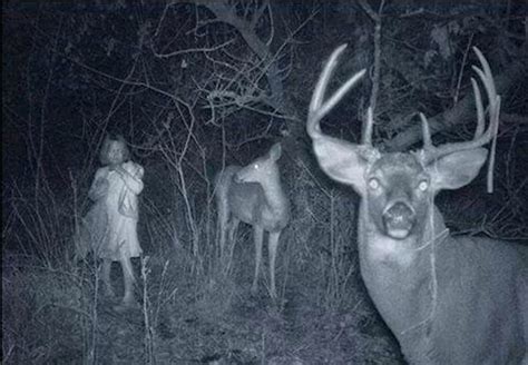 Contact insane trail cam pics on messenger. 9 of the Creepiest Trail Cam Photos Ever Captured - Wide ...
