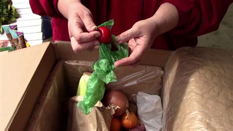 Misfits market vs imperfect produce. Misfits Market Produce Delivery Unboxing Review and Promo ...
