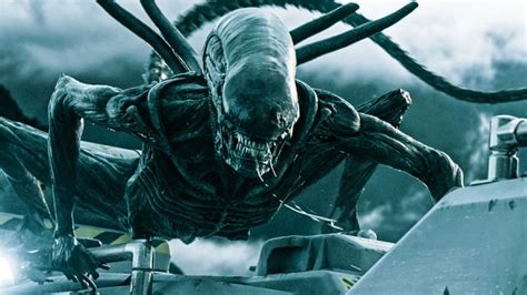 Hbo max has plenty of horror content to ruin your sleeping patterns for the next ten years. James Cameron Interested in Neill Blomkamp's 'Alien ...