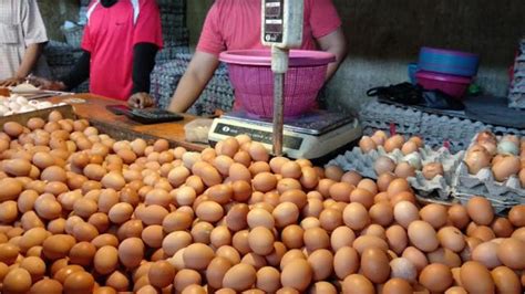 Dilihat sejak awal pekan lalu (6/5/2019), harga telur ayam sudah meningkat 8,72% dari yang sebesar rp 25.800/kg. Harga Telur Ayam Ras - Rectangle Circle