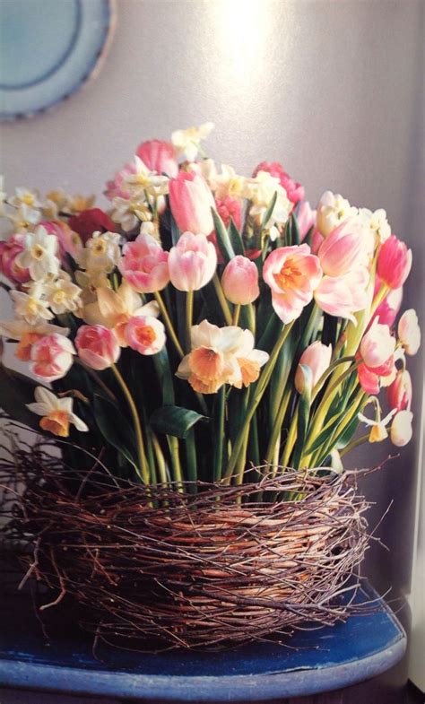 Martha has been growing and arranging flowers since she was a little girl. Birch Basket from Martha Stewart's "Handmade Holiday ...