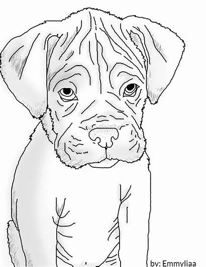 Boxer Coloring Puppy Lineart Dogs Dog Drawing