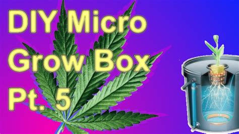 Maybe you would like to learn more about one of these? Building a DIY Micro Grow Box Part 5 - Hydroponics (DWC). - YouTube