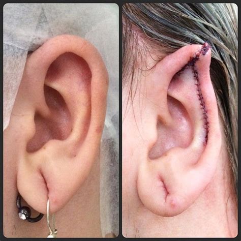 Pixie sic was born sarah anne pereira in the small town of metuchen, new jersey. Today's ear pointing 🏻️ tiny upper conches makes for a bit ...