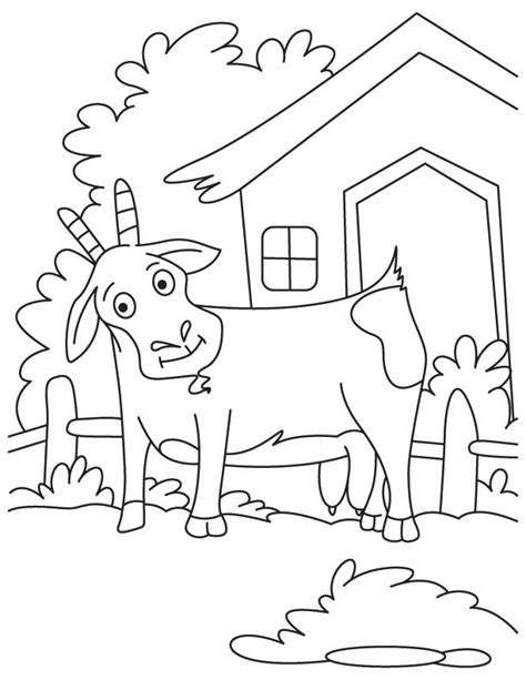 Some of these concern the mechanisms. Pygmy Goats Coloring Page - Coloring Home