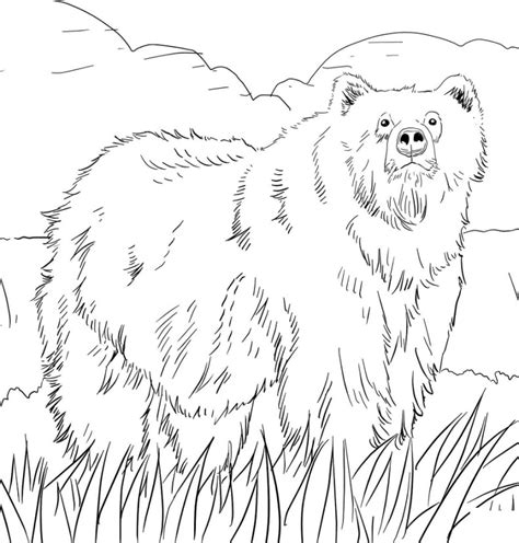 Mudah mudahan bermanfaat untuk anda. 16+ Gambar Sketsa Binatang Buas