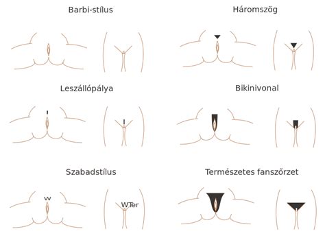 There is little if any difference in the capacity of male and female bodies to grow hair in response to androgens. File:Pubic hair styles hu.svg - Wikimedia Commons