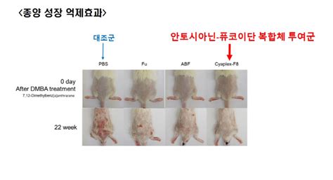 제 4회 대한민국 약사 학술제 opnt를 활용한 만성난치성 질환의 예방 및 치료 대한약사회 건강기능식품 특별위원장兼 주 제이비케이랩 대표 장봉근. 제이비케이랩, 면역증강·면역항암제 PCT국제특허 신청