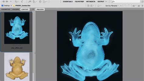 Aug 24, 2017 · open photoshop and make a new document of 800 x 450 px and name it dashed lines. How to Creaete X Ray Effect in Photoshop - LensVid.comLensVid.com