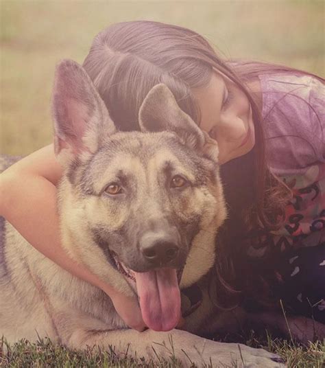 Qualité, sécurité et exigence au coeur de la petite enfance. En Bretagne, des chiens à la crèche pour favoriser l'éveil ...