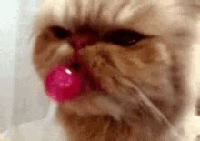 Share the best gifs now >>>. Awesome Pyro GIF - Lollipop Sparkly - Discover & Share GIFs