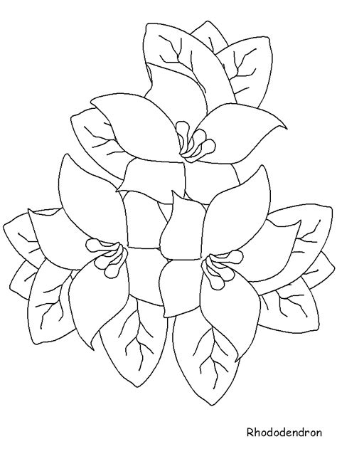 Flower drawings are the easiest to master. Realistic Flower Coloring Pages - Coloring Home