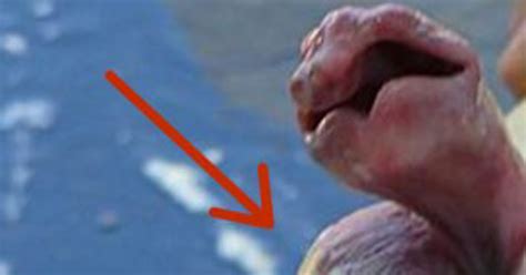 Will it be poltergeist, the others, or the conjuring? These are the craziest penises in the world! No. 4 is out ...