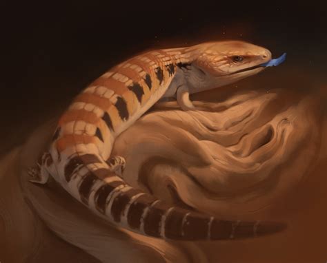 Animals hailing from australia's interior deserts are adapted to a harsh desert lifestyle, while those species from as pets, they rank high on the list as a result of their gentile demeanor, appearance, and ease of care. reptile pet portrait | Tumblr