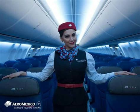 Pets are allowed in the aircraft cabin on flights within mexico (domestic flights) and to/from the us, canada, central and. Aeromexico | Cabin crew, Flight attendant, Flight crew