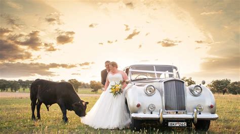 From meeting to discuss your wedding plans, to delivering your photos and discussing options for albums, every step of the relationship is treated with the utmost care. No Bull - couple 'charged' on wedding day | Bunbury Mail | Bunbury, WA