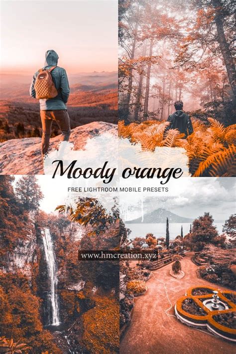 You can edit photos in orange background to esely. Download primium Moody orange lightroom mobile presets for ...