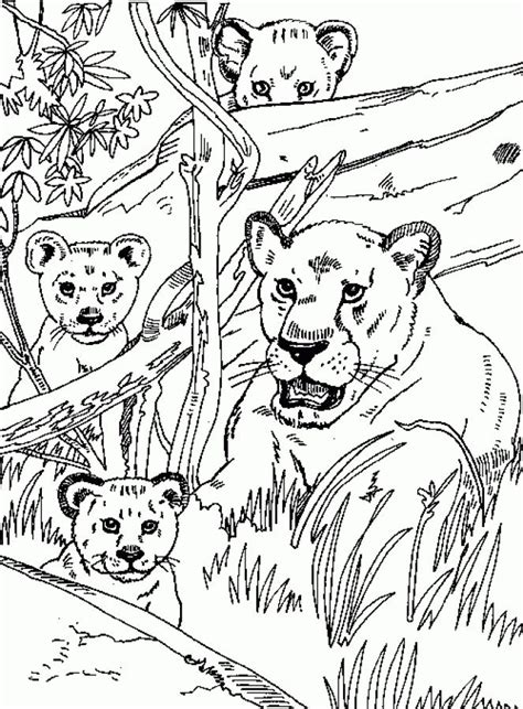 The tiger is a beautiful animal, but he sure has some bite! free realistic coloring pages of lioness for adults | Free ...