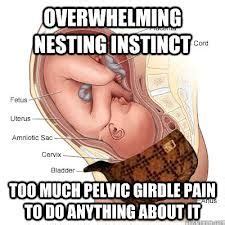 While aches and pains are a normal part of pregnancy, it is important to be able to distinguish spd, or symphysis pubic dysfunction. SPD /PGP on Pinterest | Girdles, Pregnancy and Hip Pain