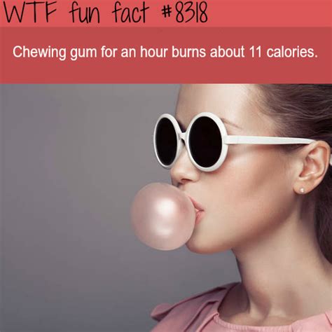 We did not find results for: how many calories does chewing gum burn wtf fun | Science ...