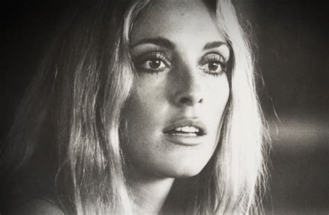 Sharon Tate photographed by Peter Bruchmann | Sharon tate, Portrait, Sharon